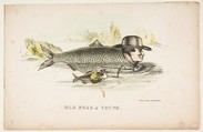 Old Shad & Young, from "The Comic Natural History of the Human Race", Henry Louis Stephens  American, Color lithograph with watercolor and gum