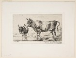 Cow and Ass, Charles Meryon  French, Etching; second state of two