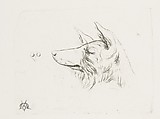 Head of a Dog from New Holland, Charles Meryon  French, Etching and engraving from an aluminum plate