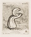 The Puny Cryptogamia, Charles Meryon French, Etching