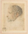 Head of man in Profile to Left, Attributed to Parmigianino (Girolamo Francesco Maria Mazzola) (Italian, Parma 1503–1540 Casalmaggiore), Red chalk (face) and black chalk (hair, beard, and eyes)