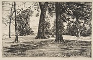 Greenwich Park, James McNeill Whistler  American, Etching and drypoint, printed in black ink on medium weight off-white laid paper; third state of three (Glasgow)
