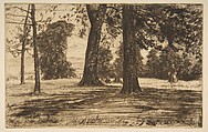 Greenwich Park, James McNeill Whistler  American, Etching and drypoint; third state of three (Glasgow); dark brown ink on cream laid paper
