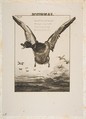 Le Canard, Félix Bracquemond  French, Etching on chine collé; third state of four