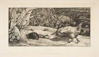 L'Inconnu, Félix Bracquemond French, Etching and drypoint; third state of three