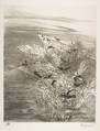 Roseaux et Sarcelles, Félix Bracquemond  French, Etching on laid paper; fourth state of four