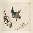 Decoration for a Plate: A Duck flying over Snow-covered Branches, Félix Bracquemond  French, Etching with watercolor