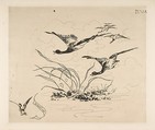 Decoration for a Plate: Ducks, Félix Bracquemond  French, Etching