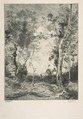 Le cheval blanc, Félix Bracquemond  French, Etching; second state of two
