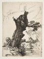 St. Jerome beside a Pollard Willow, Rembrandt (Rembrandt van Rijn) (Dutch, Leiden 1606–1669 Amsterdam), Etching and drypoint; fourth of four states