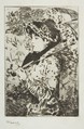 Jeanne (Spring), Edouard Manet French, Etching on blue laid paper, only state