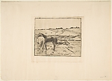 Horses in the Meadow, Edgar Degas (French, Paris 1834–1917 Paris), Softground etching, aquatint, and drypoint on laid paper; second state of three (unique impression)