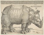 The Rhinoceros, Albrecht Dürer German, Woodcut