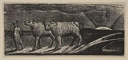 Unyok'd Heifers, Loitering Homeward (Return of the Shepherd), from Thornton's "Pastorals of Virgil", William Blake  British, Wood engraving