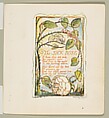 Songs of Experience: The Sick Rose, William Blake (British, London 1757–1827 London), Relief etching printed in orange-brown ink and hand-colored with watercolor and shell gold