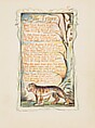 Songs of Experience: The Tyger, William Blake (British, London 1757–1827 London), Relief etching printed in orange-brown ink and hand-colored with watercolor and shell gold