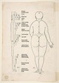 Illustration from Dürer's "Vier Bucher von Menslicher Proportion", Albrecht Dürer (German, Nuremberg 1471–1528 Nuremberg), Woodcut