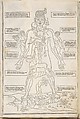Fasciculo di medicina, Possibly Johannes de Ketham (German, active 15th century), Woodcut