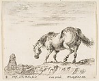 A horse in profile facing the left, about to descend from a mound, a horseman to left in background, plate 4 from "Diversi capricci", Stefano della Bella Italian, Etching; third state of four (De Vesme)