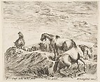 Two horses ascending the bank of a river at right, following a procession of horses and one horseman to the left, plate 7 from "Diversi capricci", Stefano della Bella Italian, Etching; third state of four (De Vesme)