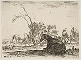 A seated horse to right, seen from behind and turned to the left, three other horses in middleground, a tree in center, plate 8 from "Various Figures" (Agréable diversité de figures), Stefano della Bella  Italian, Etching; fourth state of five (De Vesme)