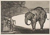 'Animal Folly' from the 'Disparates' (Follies / Irrationalities), Goya (Francisco de Goya y Lucientes) (Spanish, Fuendetodos 1746–1828 Bordeaux), Etching, aquatint, drypoint on Japan paper