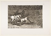 Plate 23 from "La Tauromaquia": Mariano Ceballos, alias the Indian, kills the bull from his horse, Goya (Francisco de Goya y Lucientes)  Spanish, Etching, burnished aquatint