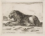 Reclining lion, plate 5 from "Various Animals" (Diversi Animali), Stefano della Bella Italian, Etching; second state of three (De Vesme)