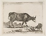 Ox, plate 7 from "Various Animals" (Diversi Animali), Stefano della Bella Italian, Etching; second state of three (De Vesme)