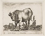Cow, plate 8 from "Various Animals" (Diversi Animali), Stefano della Bella Italian, Etching; second state of three (De Vesme)