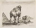 Camel viewed from behind with pyramid at left, plate 18 from "Various Animals" (Diversi Animali), Stefano della Bella Italian, Etching; second state of three (De Vesme)