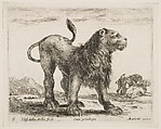 Lion, plate 6 from "Various Animals" (Diversi Animali), Stefano della Bella Italian, Etching; second state of three (De Vesme)