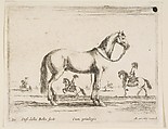 Horse, plate 21 from "Various Animals" (Diversi Animali), Stefano della Bella Italian, Etching; second state of three (De Vesme)