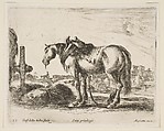 Cart Horse, plate 22 from "Various Animals" (Diversi Animali), Stefano della Bella Italian, Etching; second state of three (De Vesme)