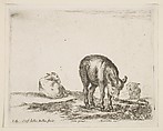 Donkeys, plate 24 from "Various Animals" (Diversi Animali), Stefano della Bella Italian, Etching; second state of three (De Vesme)