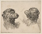 Two Camel Heads, Stefano della Bella Italian, Etching, state ii or iii