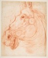Study for a Horse's Head, Baldassarre Franceschini (il Volterrano) (?) Italian, Red chalk
