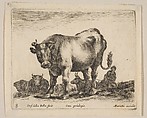 Plate 8: Ox, from "Various animals" (Diversi animali), Stefano della Bella Italian, Etching; second state of three