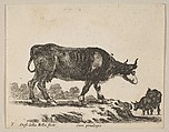 Plate 7: Cow, from "Various animals" (Diversi animali), Stefano della Bella Italian, Etching; third state of three