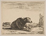 Plate 13: Buffalo lying down, from "Various animals" (Diversi animali), Stefano della Bella Italian, Etching; third state of three (De Vesme)