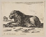 Plate 5: Reclining Lion, from "Various animals" (Diversi animali), Stefano della Bella Italian, Etching; third state of three (De Vesme)