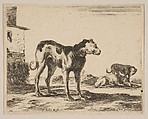 Plate 11: Dogs, from "Various animals" (Diversi animali), Stefano della Bella Italian, Etching; third state of three (De Vesme)