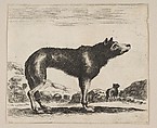 Plate 20: Wolf, from "Various animals" (Diversi animali), Anonymous, 17th century, Etching; reverse copy
