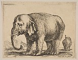 Plate 10: Elephant, from "Various animals" (Diversi animali), Stefano della Bella Italian, Etching; third state of three (De Vesme)