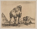 Plate 18: Camel viewed from behind with pyramid at left, from "Various animals" (Diversi animali), Stefano della Bella Italian, Etching; third state of three