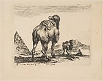 Plate 18: camel viewed from behind with pyramid at left, from 'Various animals' (Diversi animali), Stefano della Bella Italian, Etching; third state of three (De Vesme)