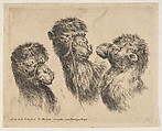Three Camel Heads, Stefano della Bella Italian, Etching, state ii or iii