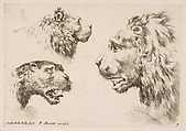 Heads of Three Lions, Stefano della Bella Italian, Etching; second state of two