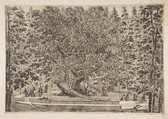 The Tree House at Pratolino, Stefano della Bella  Italian, Etching; first state of two