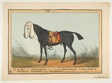 To Be Sold With All His Engagements–The Famous Race Horse Woolsack, William Heath ('Paul Pry')  British, Hand-colored etching